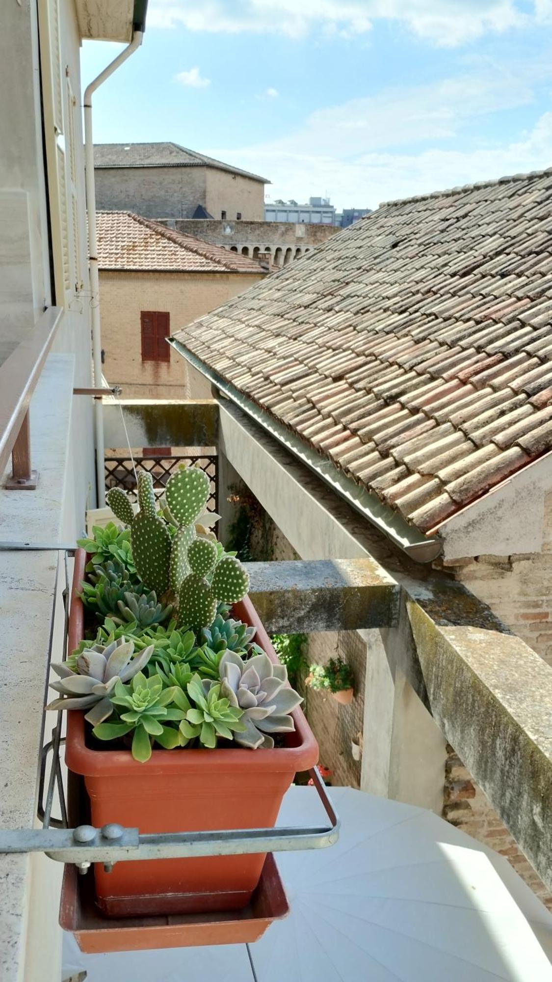 Palazzo Cavalletti - Appartamenti Nel Cuore Di เซนีกัลเลีย ภายนอก รูปภาพ