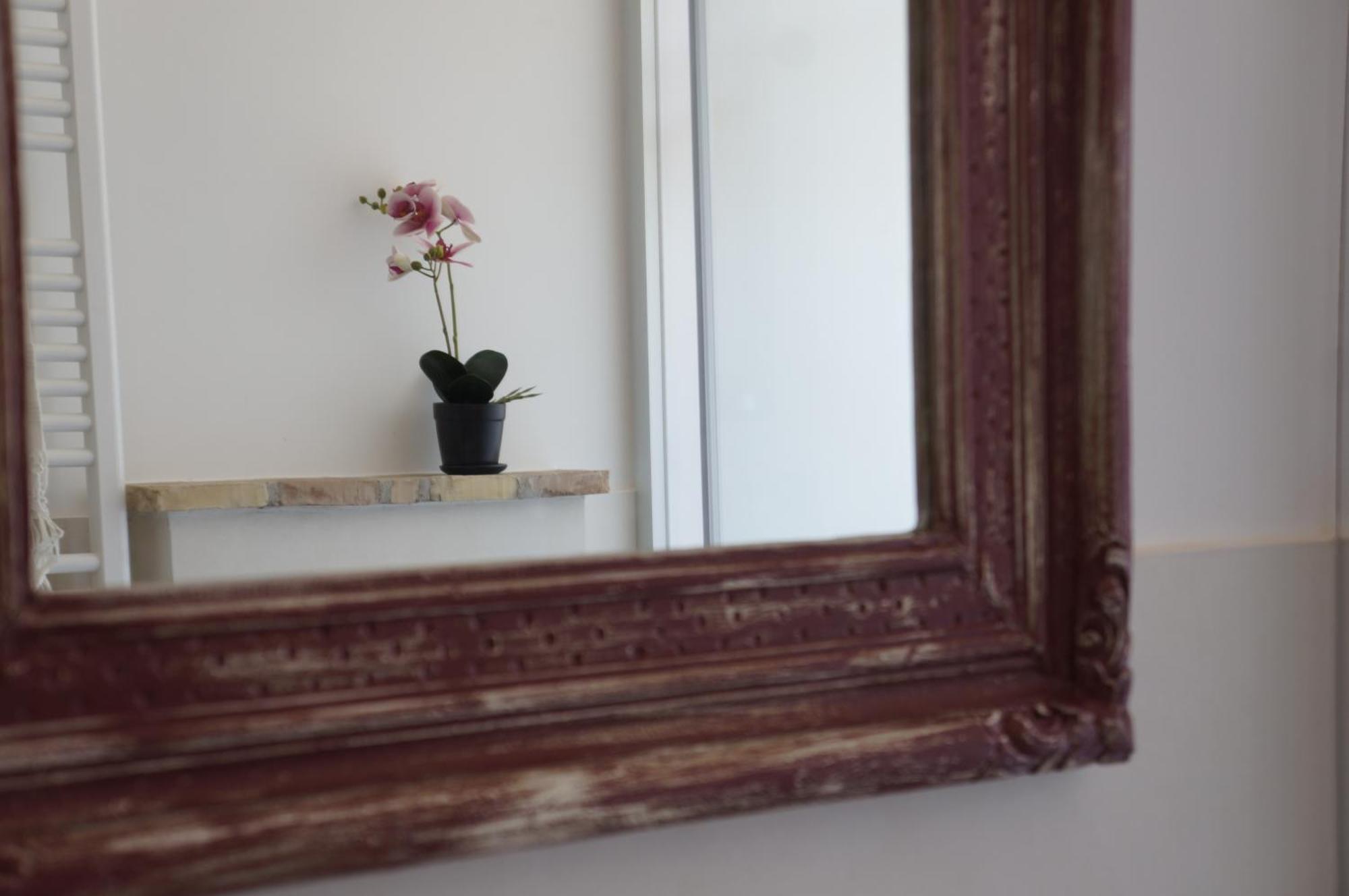 Palazzo Cavalletti - Appartamenti Nel Cuore Di เซนีกัลเลีย ภายนอก รูปภาพ